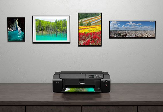 Canon PIXMA PRO-200, Professional Printer For High Quality Photo ...